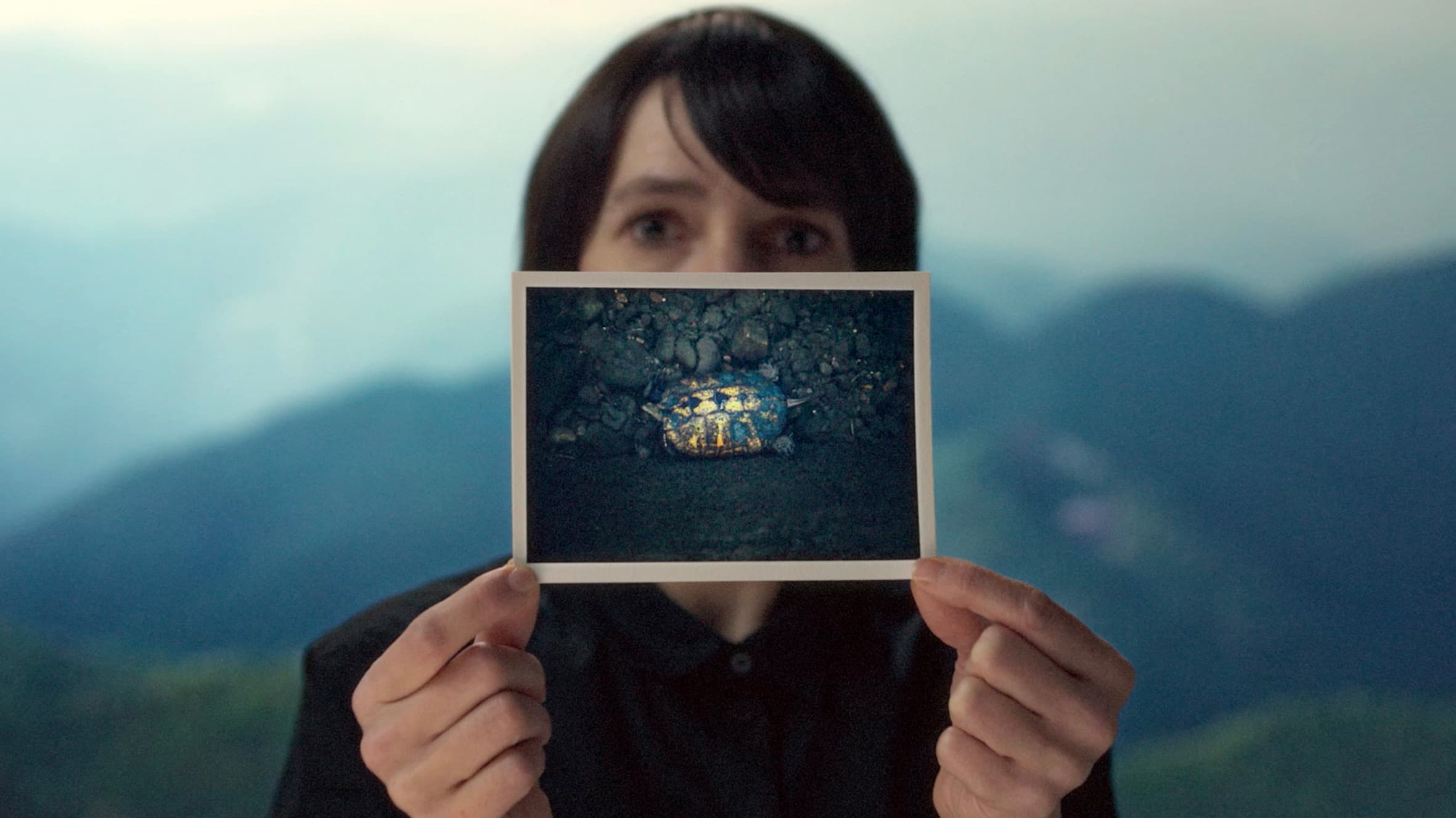 Anaïs López - de Schildpad en de Monnik